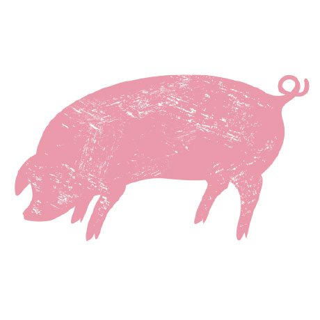 Pig Pink